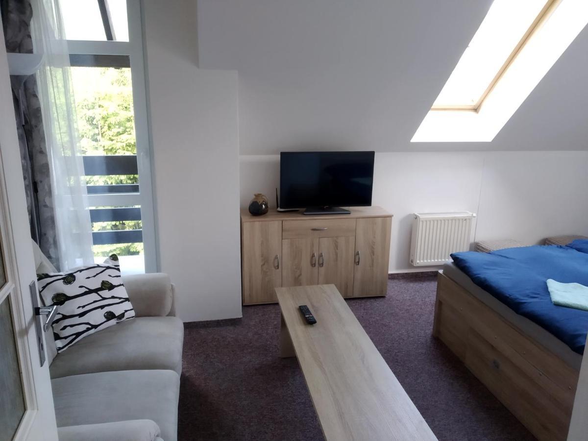 Apartman Violeta ฮาร์ราคอฟ ภายนอก รูปภาพ