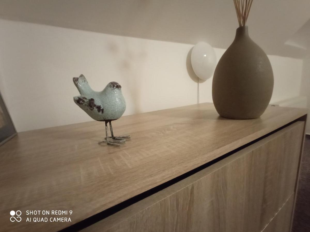 Apartman Violeta ฮาร์ราคอฟ ภายนอก รูปภาพ