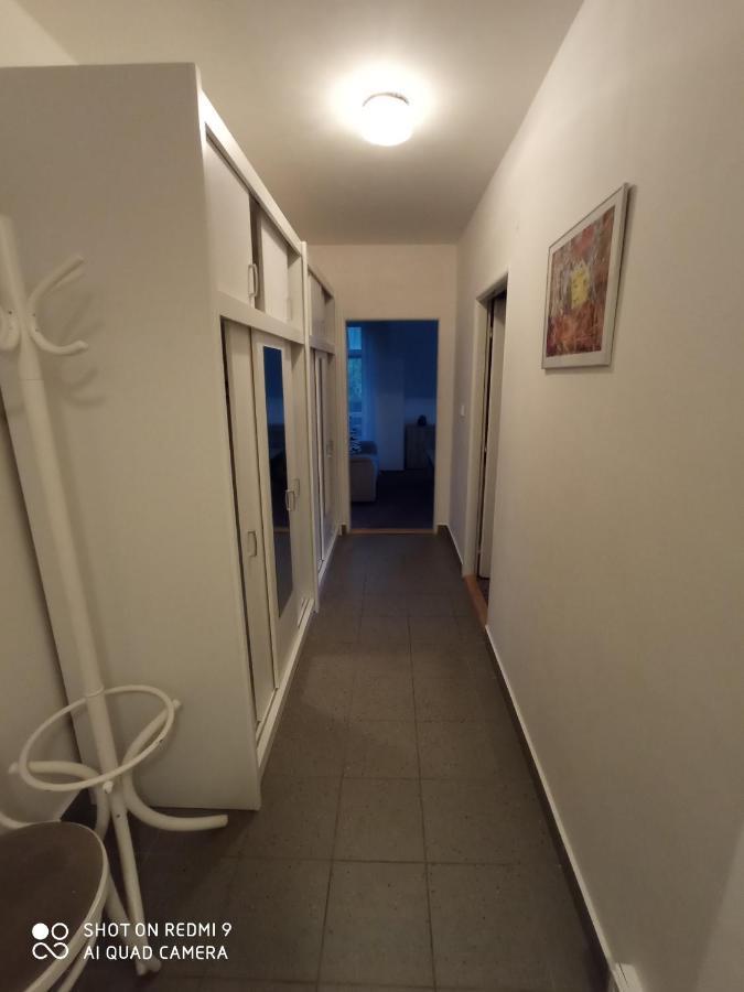 Apartman Violeta ฮาร์ราคอฟ ภายนอก รูปภาพ